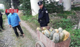 吃瓜爆料缅北事件是真的吗,吃瓜爆料真相揭晓